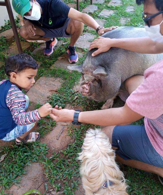 Aldeia Parque Pousada Rural São Roque Buitenkant foto