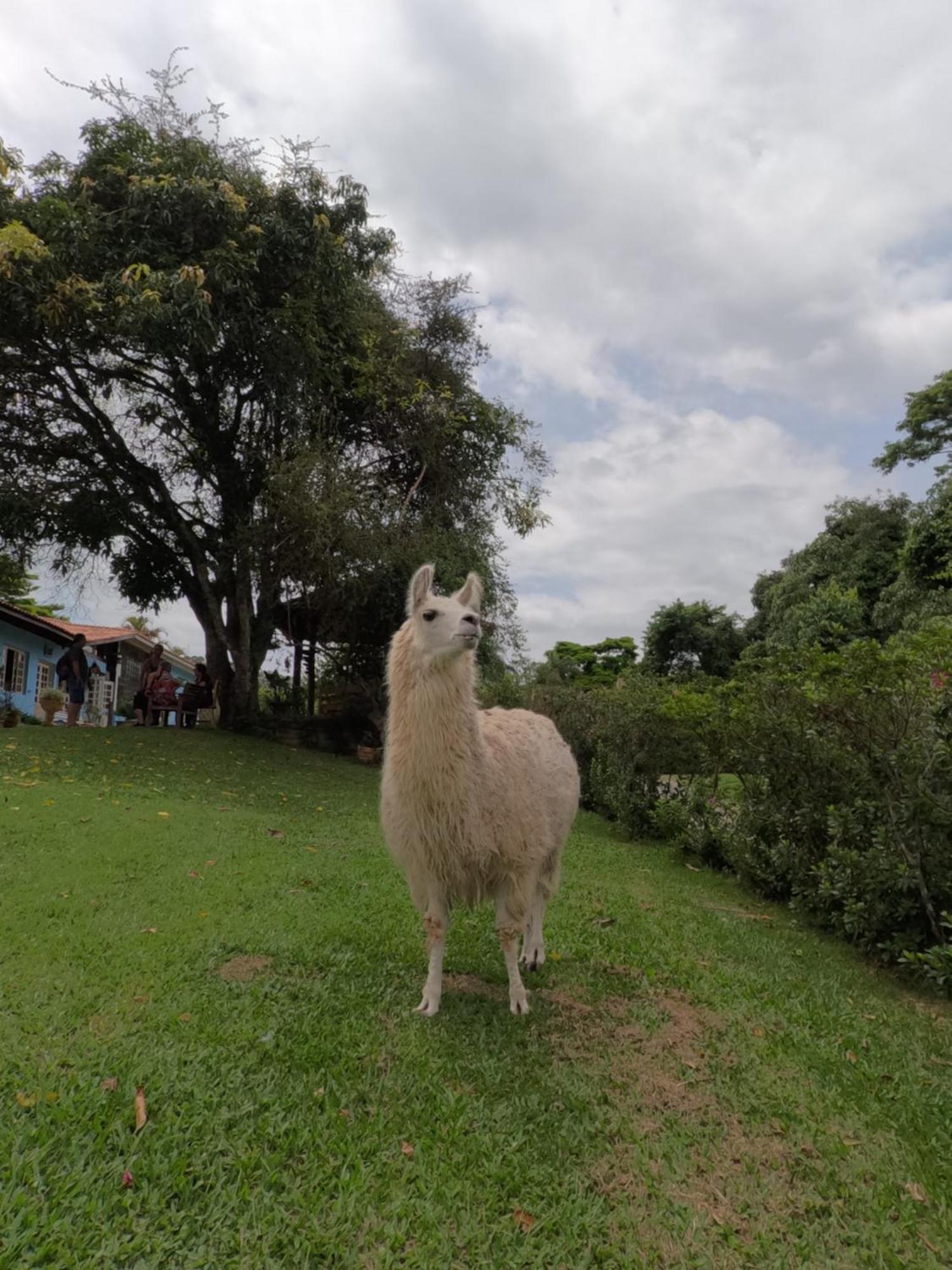 Aldeia Parque Pousada Rural São Roque Buitenkant foto